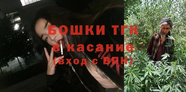 индика Армянск
