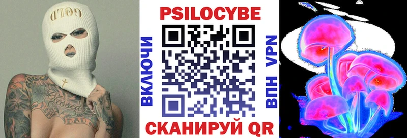 купить   Горняк  Псилоцибиновые грибы Psilocybine cubensis 
